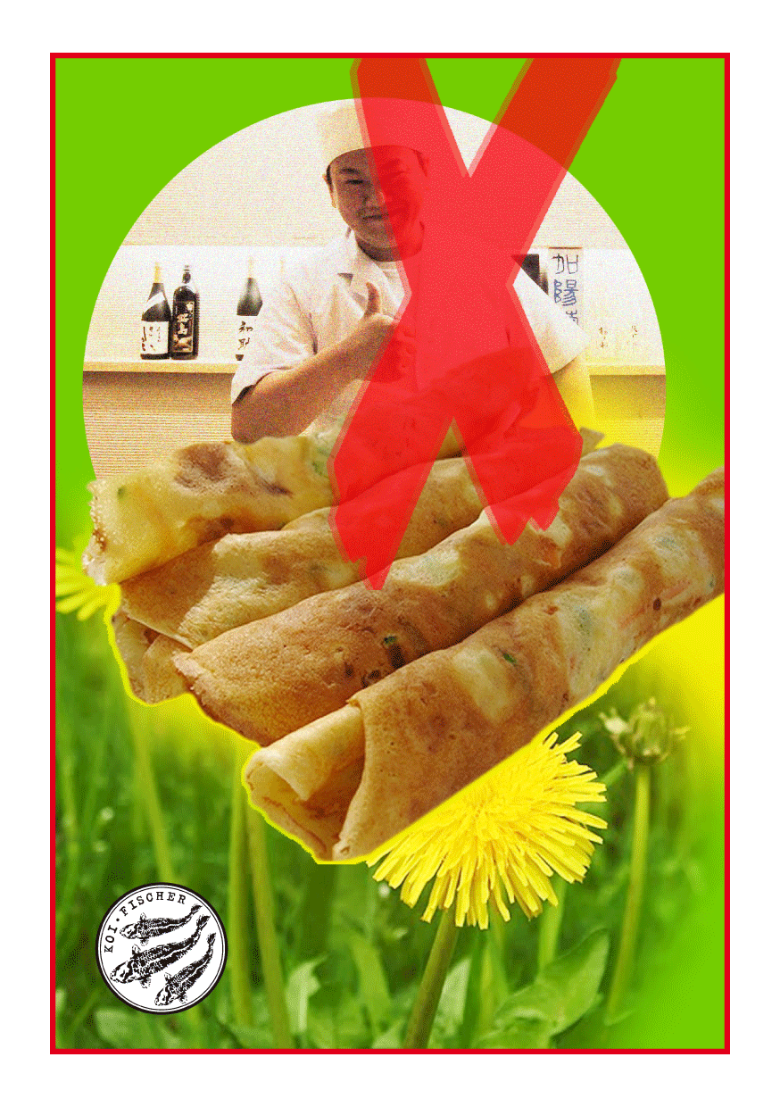 Bild Rezepte Maerz 11 Fruehlingsrollen