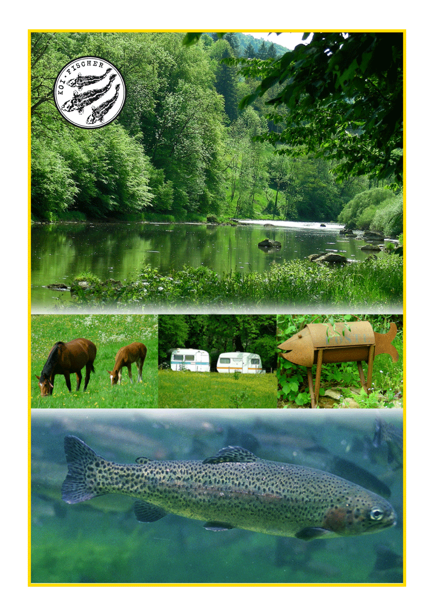 Bild Rezepte Mai 11 Doubs Truite à la Meunière