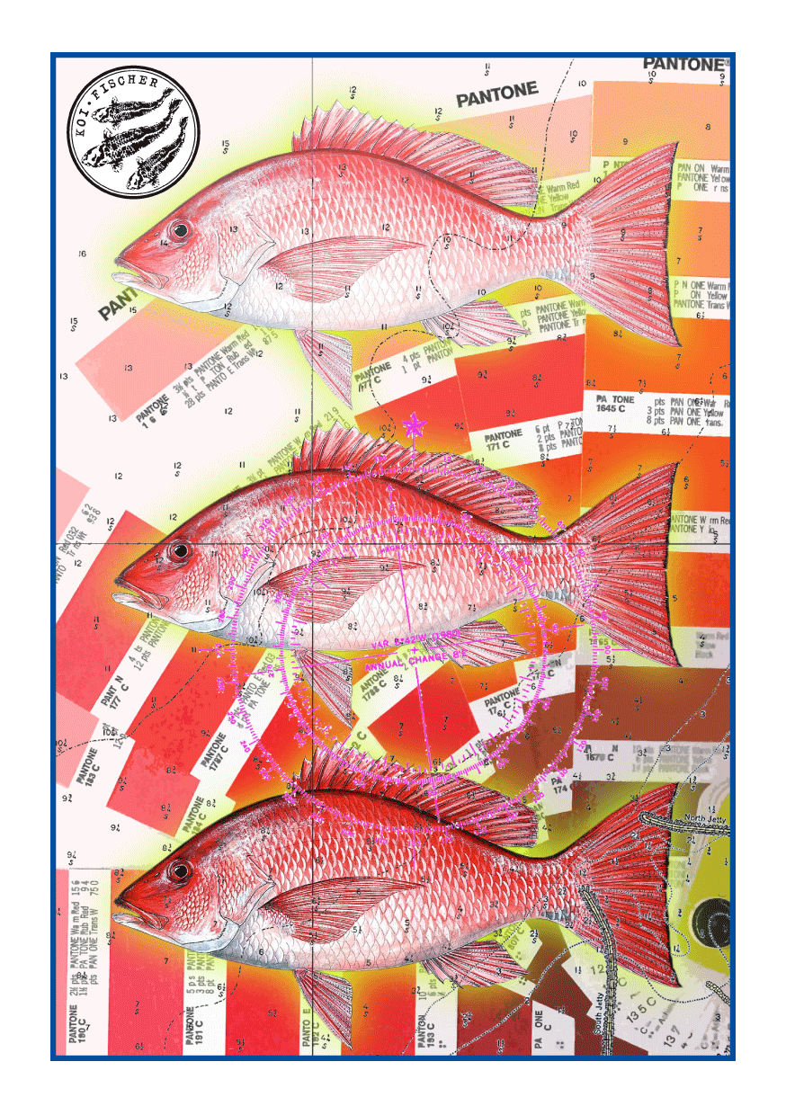 Bild Rezepte August 2014 Red Snapper